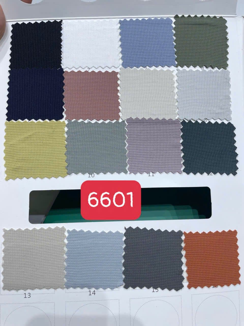 Ảnh sổ mẫu XH-6601